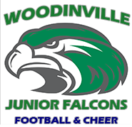 junior falcon trainers